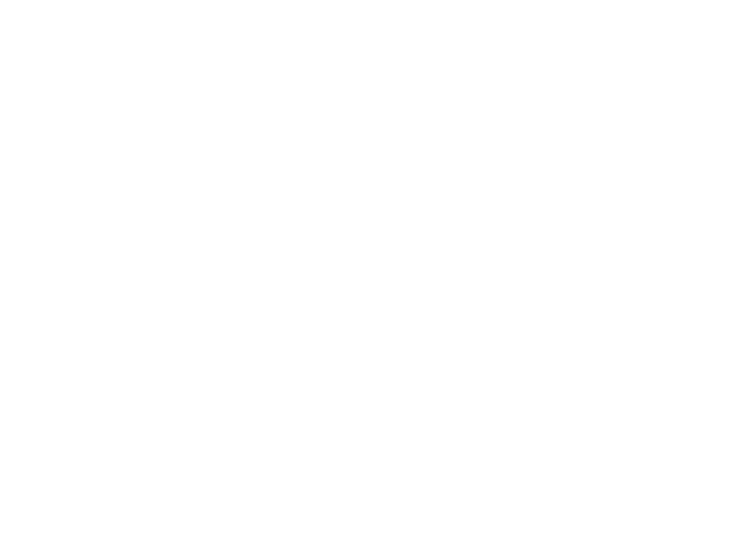 VLV Logo